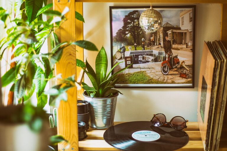 How to Refresh Your Home with Plants: A Beginner’s Guide